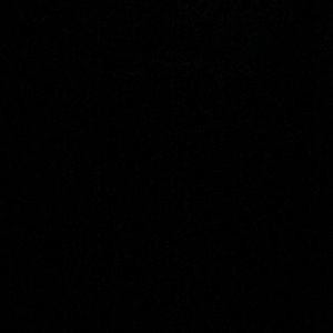 Meet your Posher, Alaina